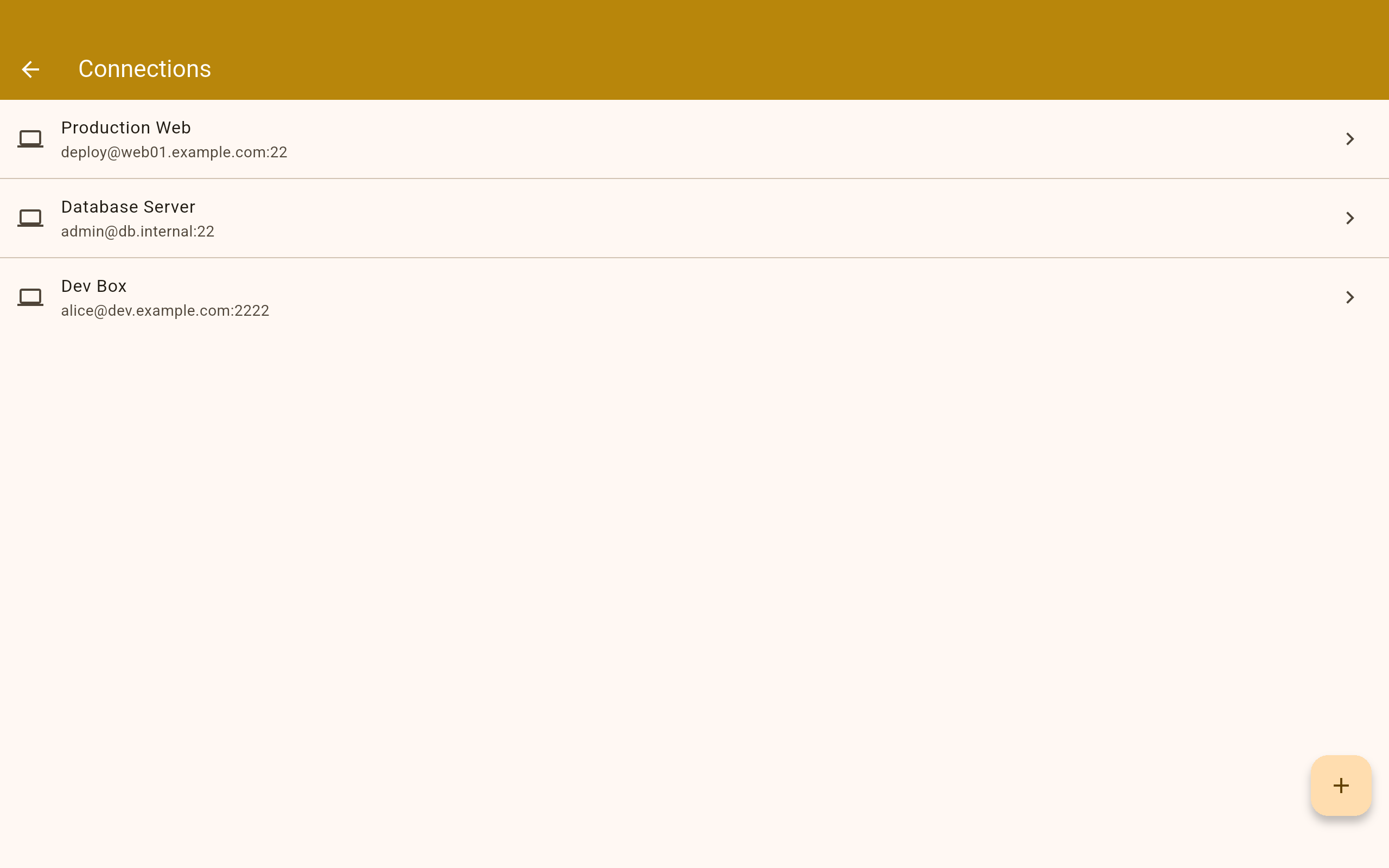 YuzuSSH connections list
